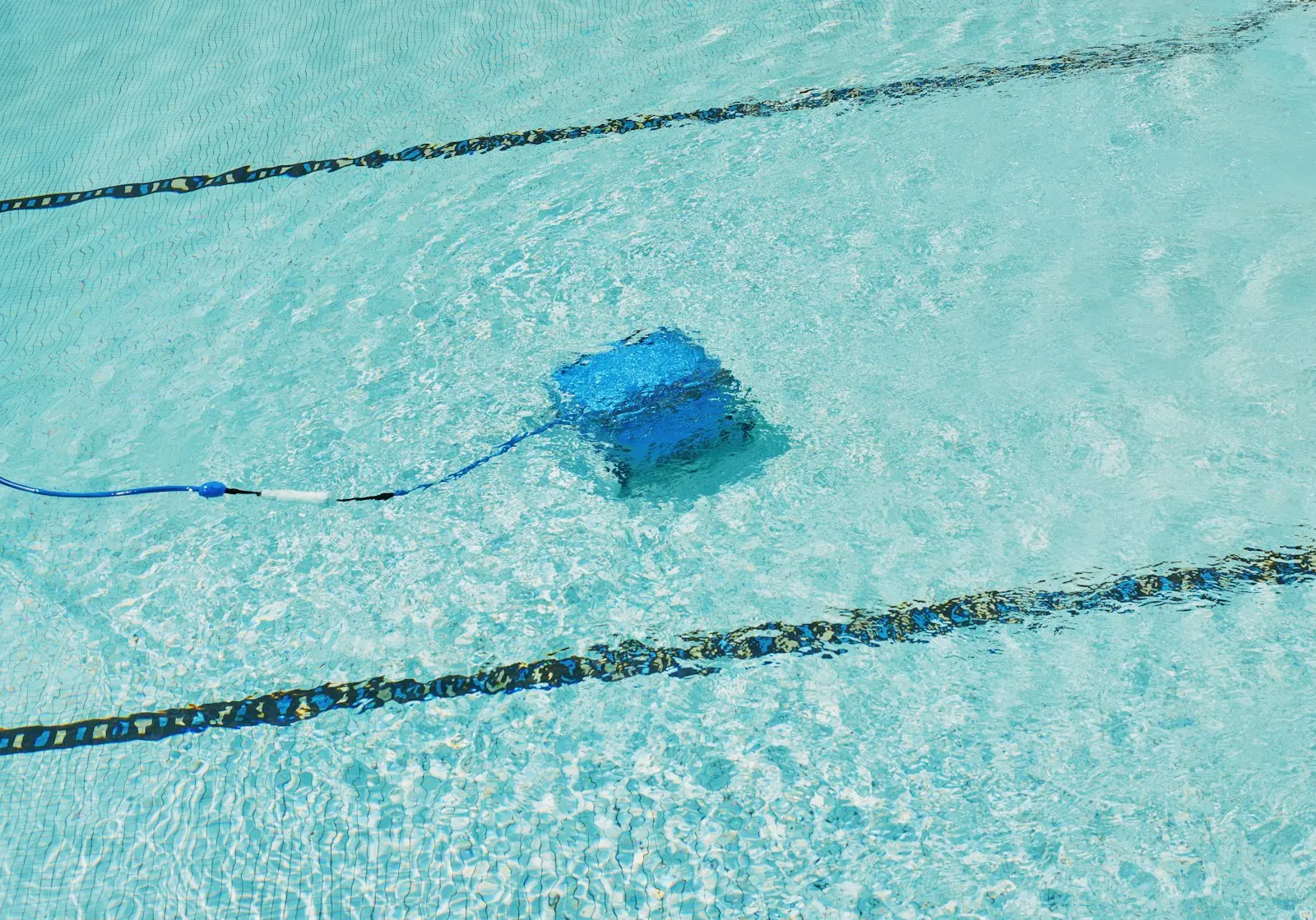 Robot nettoyeur en action au fond d'un bassin, entre deux lignes d'eau