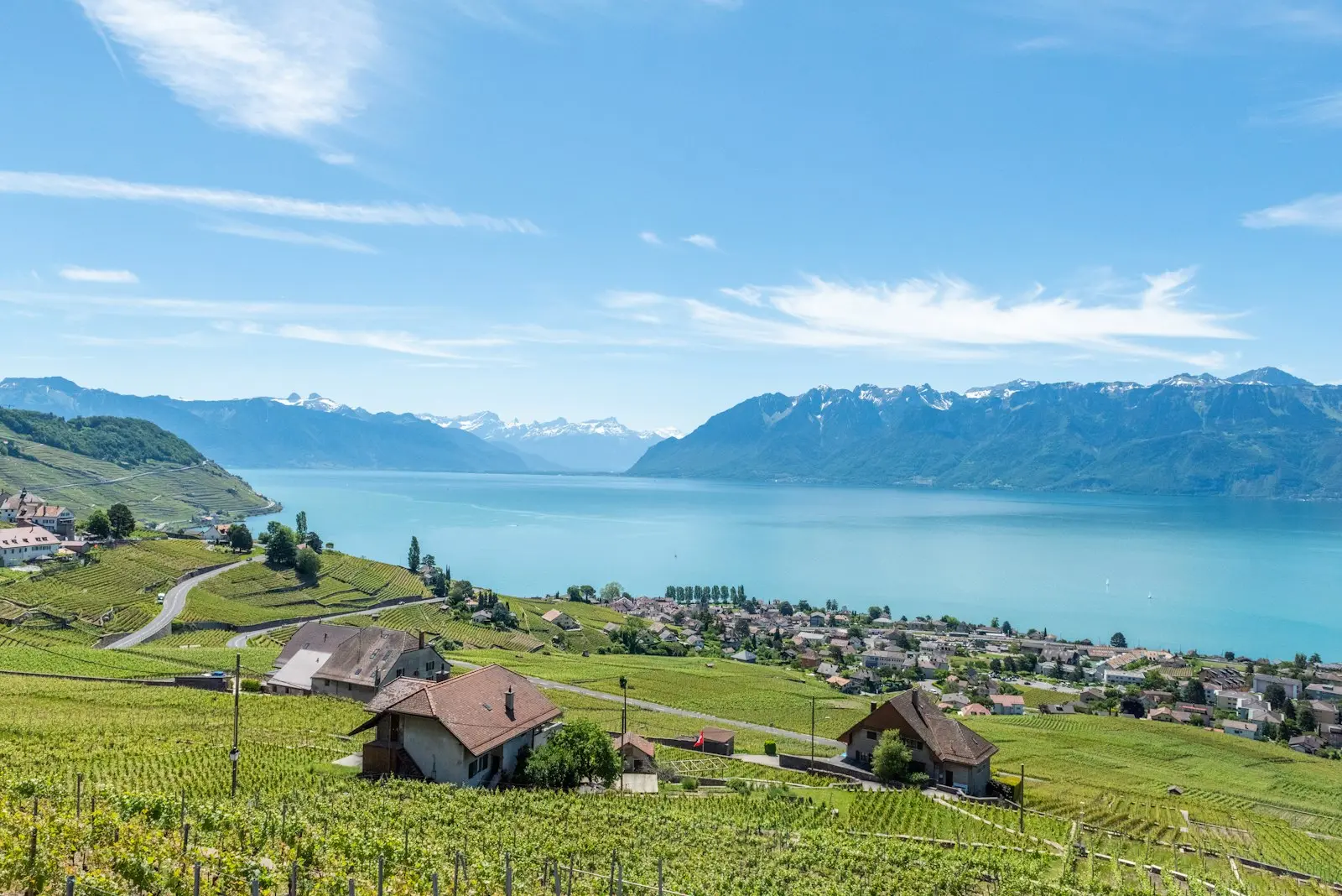 Vignoble en terrasses descendant vers le Léman, villages et montagnes en arrière-plan